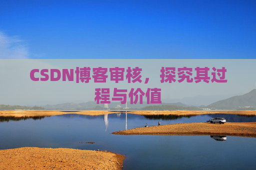 CSDN博客审核,探究其过程与价值